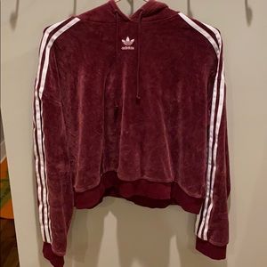 adidas maroon velour cropped hoodie